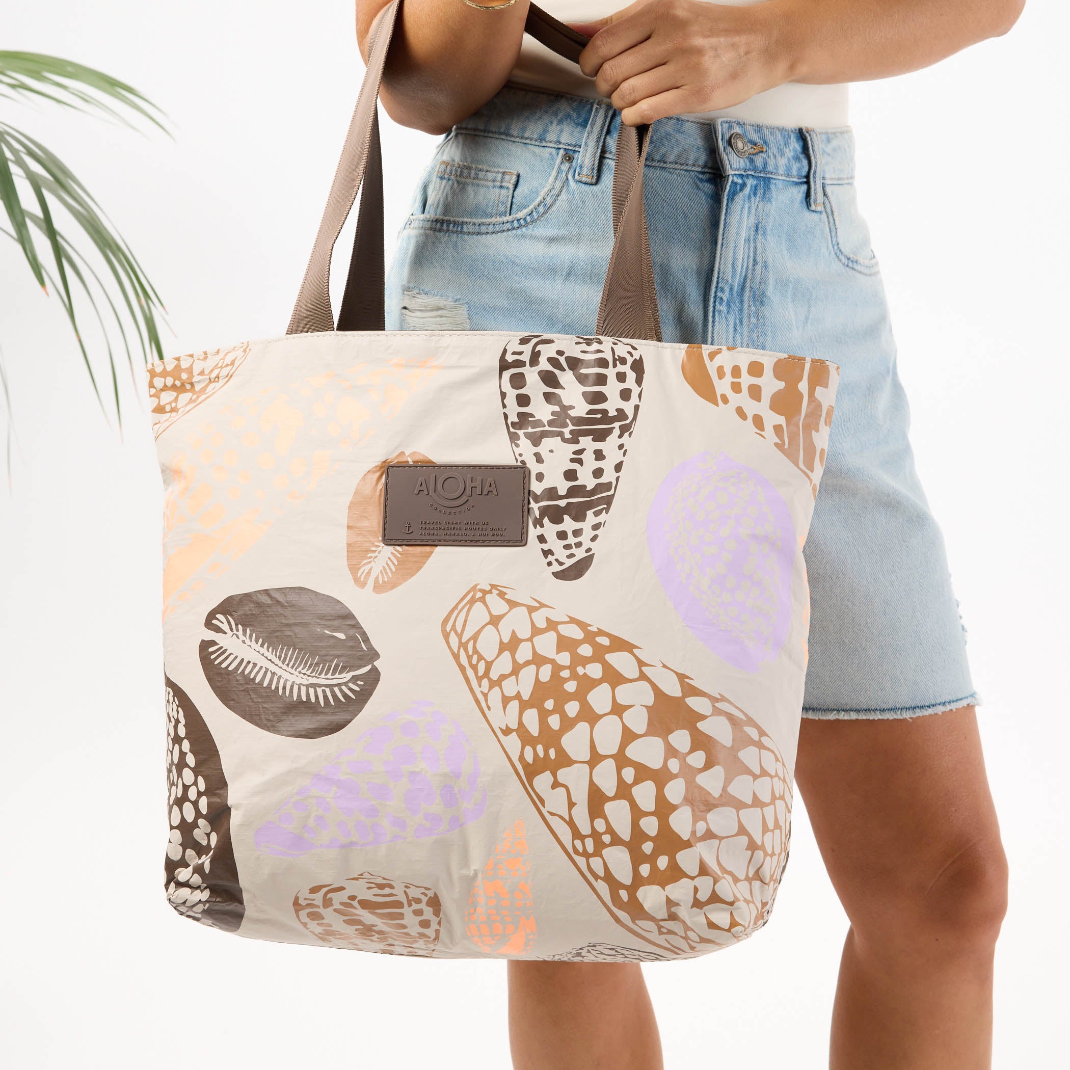 DT_shoreline_sandstone_CU2_op